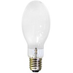Jfmamjjasond Bulb