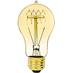 Victorian Antique Light Bulbs - Category Image