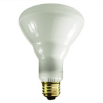 100 watt reflector light bulb